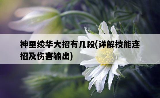 神里綾華大招有幾段，詳解技能連招及傷害輸出-圖1