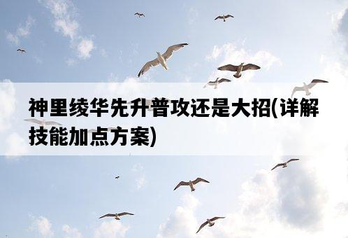 神里綾華先升普攻還是大招，詳解技能加點方案-圖1