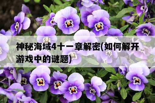 神秘海域4十一章解密，如何解開游戲中的謎題-圖1