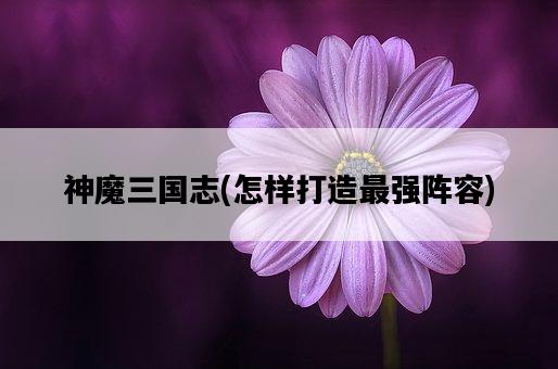 神魔三國志，怎樣打造最強陣容-圖1