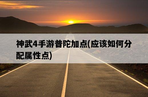 神武4手游普陀加點，應該如何分配屬性點-圖1