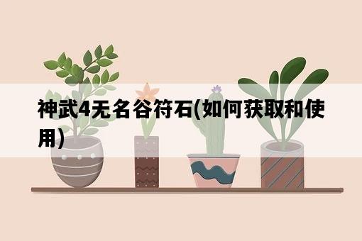 神武4無名谷符石，如何獲取和使用-圖1
