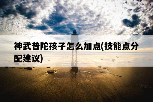 神武普陀孩子怎么加點，技能點分配建議-圖1