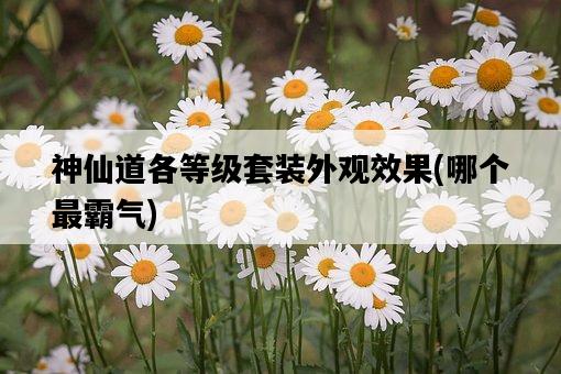 神仙道各等級套裝外觀效果,哪個最霸氣-圖1 神仙道各等級套裝外觀效果,哪個最霸氣-圖1