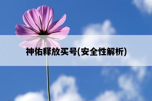 神佑釋放買號，安全性解析-圖1