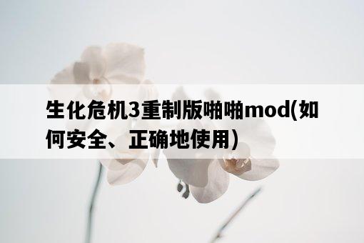 生化危機3重制版啪啪mod，如何安全、正確地使用-圖1