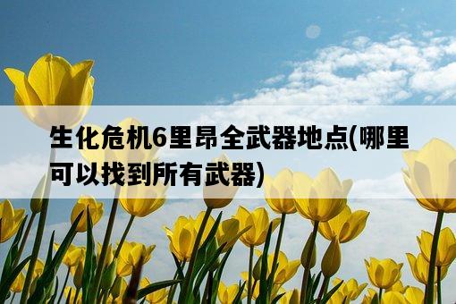 生化危機6里昂全武器地點,哪里可以找到所有武器-圖1 生化危機6里昂全武器地點,哪里可以找到所有武器-圖1