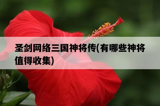 圣劍網絡三國神將傳，有哪些神將值得收集-圖1