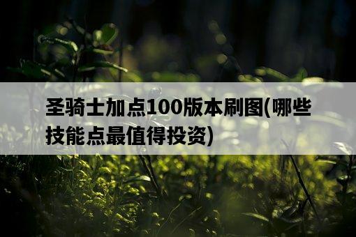 圣騎士加點100版本刷圖，哪些技能點最值得投資-圖1