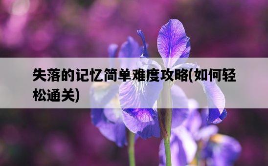 失落的記憶簡單難度攻略，如何輕松通關-圖1