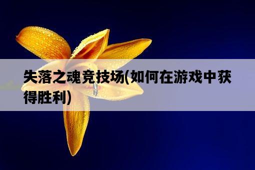 失落之魂競技場，如何在游戲中獲得勝利-圖1