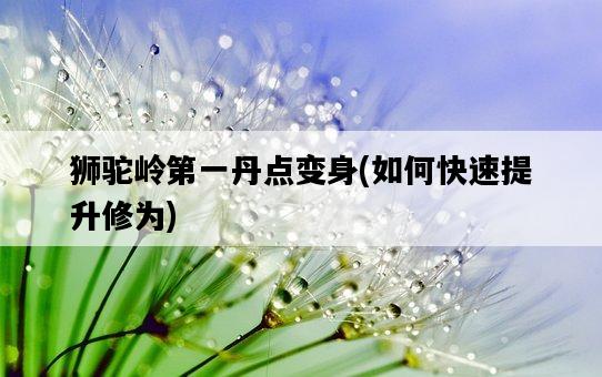 獅駝嶺第一丹點變身，如何快速提升修為-圖1