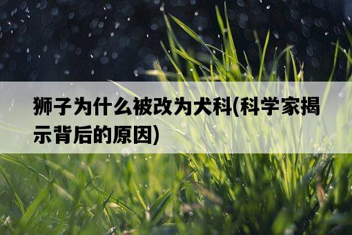 獅子為什么被改為犬科，科學家揭示背后的原因-圖1