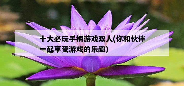 十大必玩手柄游戲雙人,你和伙伴一起享受游戲的樂趣-圖1 十大必玩手柄游戲雙人,你和伙伴一起享受游戲的樂趣-圖1