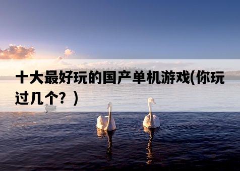 十大最好玩的國產單機游戲，你玩過幾個？-圖1