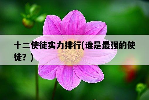 十二使徒實力排行,誰是最強的使徒?-圖1 十二使徒實力排行,誰是最強的使徒?-圖1