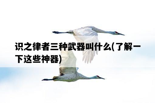 識之律者三種武器叫什么，了解一下這些神器-圖1