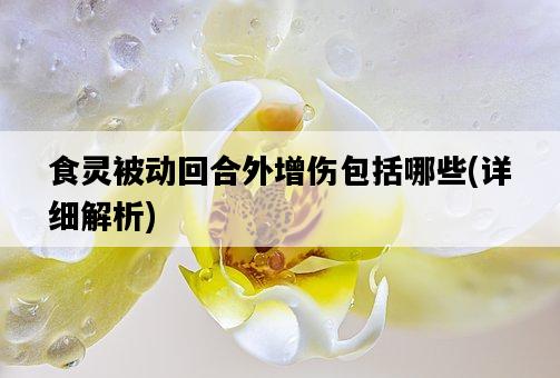 食靈被動回合外增傷包括哪些,詳細解析-圖1 食靈被動回合外增傷包括哪些,詳細解析-圖1