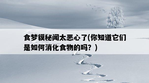 食夢貘秘聞太惡心了，你知道它們是如何消化食物的嗎？-圖1