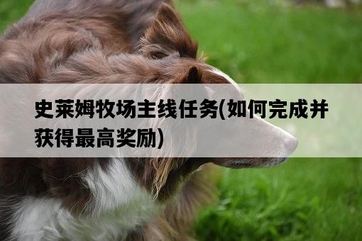 史萊姆牧場主線任務，如何完成并獲得最高獎勵-圖1