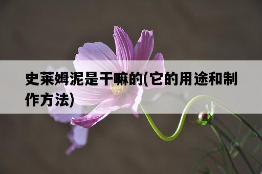 史萊姆泥是干嘛的，它的用途和制作方法-圖1