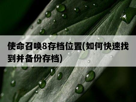 使命召喚8存檔位置，如何快速找到并備份存檔-圖1