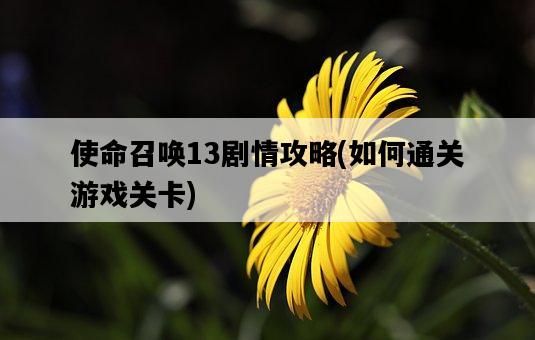 使命召喚13劇情攻略，如何通關游戲關卡-圖1