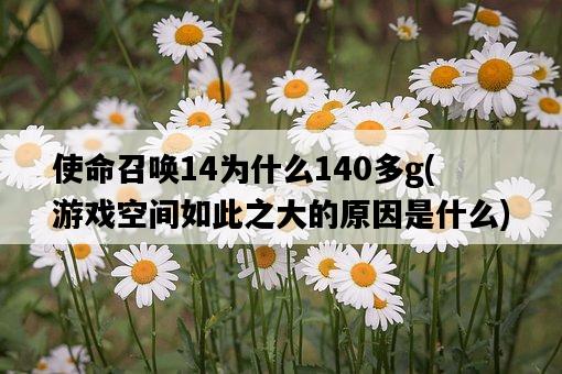 使命召喚14為什么140多g，游戲空間如此之大的原因是什么-圖1