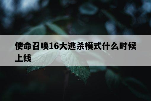 使命召喚16大逃殺模式什么時候上線-圖1
