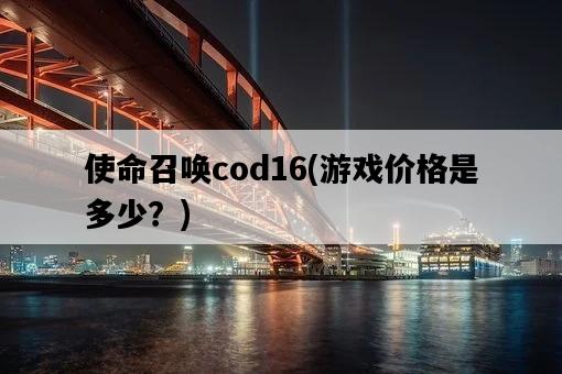 使命召喚cod16,游戲價格是多少?-圖1 使命召喚cod16,游戲價格是多少?-圖1