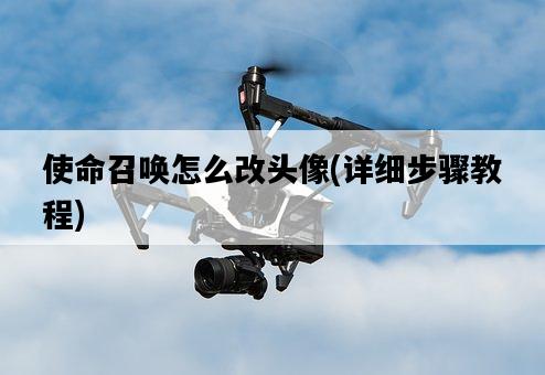 使命召喚怎么改頭像,詳細步驟教程-圖1 使命召喚怎么改頭像,詳細步驟教程-圖1