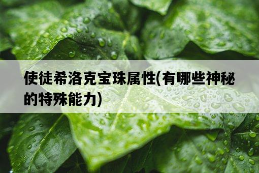 使徒希洛克寶珠屬性,有哪些神秘的特殊能力-圖1 使徒希洛克寶珠屬性,有哪些神秘的特殊能力-圖1