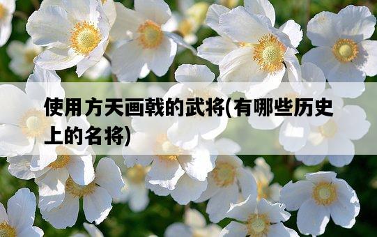 使用方天畫戟的武將,有哪些歷史上的名將-圖1 使用方天畫戟的武將,有哪些歷史上的名將-圖1