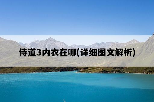 侍道3內衣在哪，詳細圖文解析-圖1