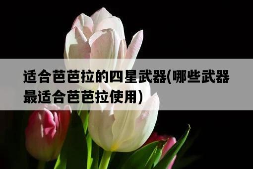 適合芭芭拉的四星武器,哪些武器最適合芭芭拉使用-圖1 適合芭芭拉的四星武器,哪些武器最適合芭芭拉使用-圖1