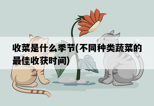 收菜是什么季節，不同種類蔬菜的最佳收獲時間-圖1