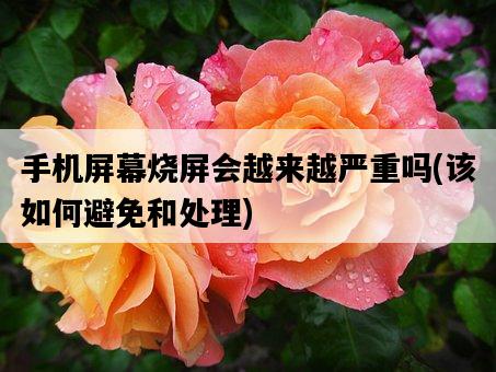 手機屏幕燒屏會越來越嚴重嗎，該如何避免和處理-圖1