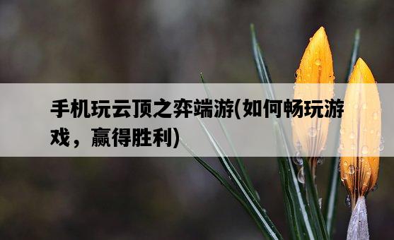 手機玩云頂之弈端游，如何暢玩游戲，贏得勝利-圖1