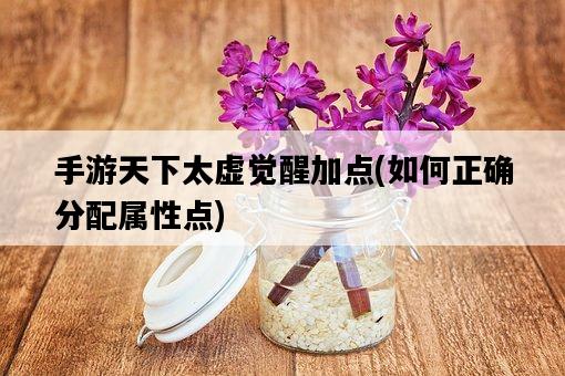 手游天下太虛覺醒加點，如何正確分配屬性點-圖1