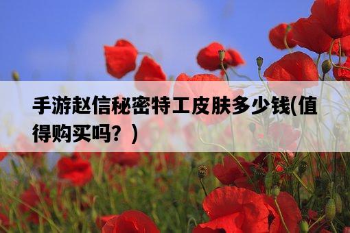手游趙信秘密特工皮膚多少錢，值得購買嗎？-圖1
