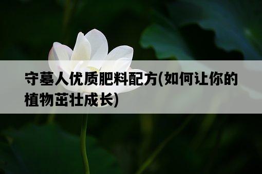 守墓人優質肥料配方，如何讓你的植物茁壯成長-圖1