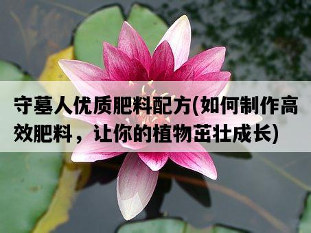 守墓人優質肥料配方，如何制作高效肥料，讓你的植物茁壯成長-圖1