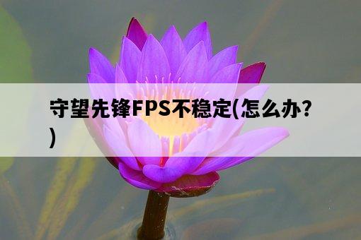 守望先鋒FPS不穩定，怎么辦？-圖1