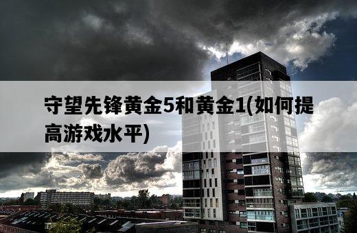 守望先鋒黃金5和黃金1，如何提高游戲水平-圖1
