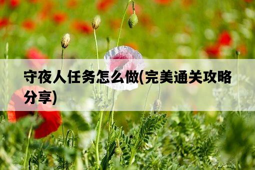 守夜人任務怎么做，完美通關攻略分享-圖1
