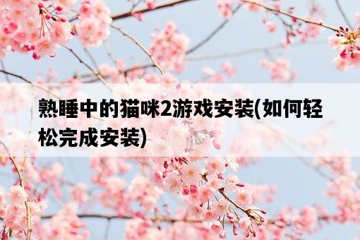 熟睡中的貓咪2游戲安裝，如何輕松完成安裝-圖1