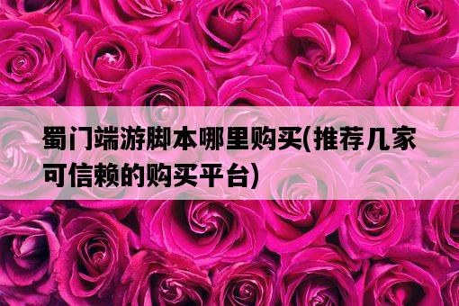 蜀門端游腳本哪里購買,推薦幾家可信賴的購買平臺-圖1 蜀門端游腳本哪里購買,推薦幾家可信賴的購買平臺-圖1