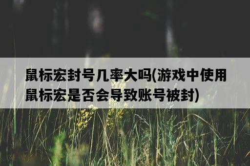 鼠標宏封號幾率大嗎，游戲中使用鼠標宏是否會導致賬號被封-圖1