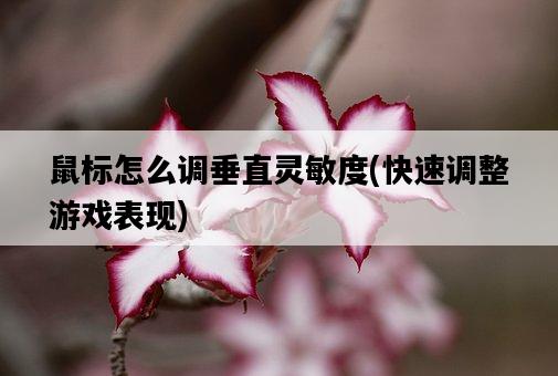 鼠標怎么調垂直靈敏度，快速調整游戲表現-圖1