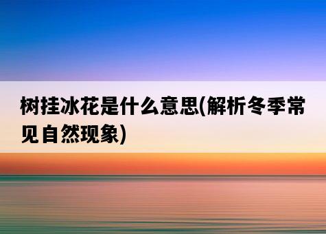 樹掛冰花是什么意思，解析冬季常見自然現象-圖1